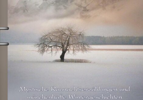 Stille Nacht - Raue Nacht Stille Nacht - Raue Nacht